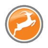 logo10x100